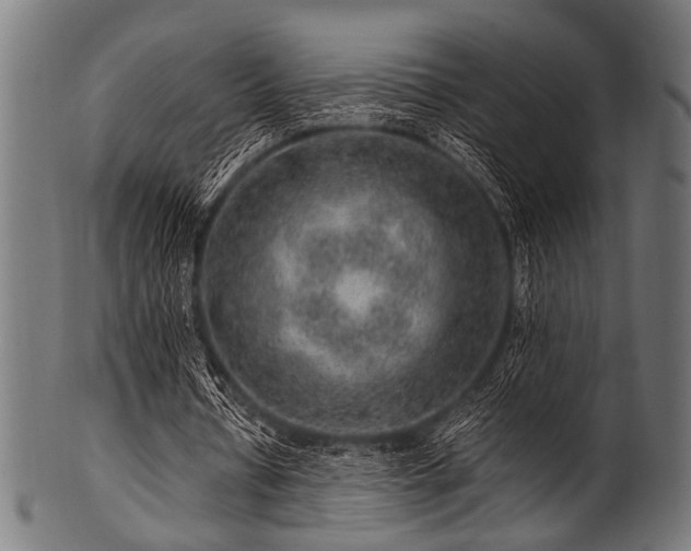 X0000100950434200806241507