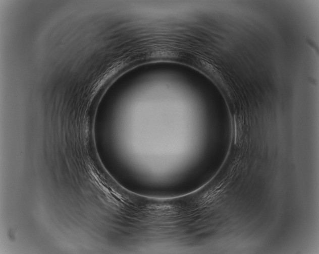 X0000100950435200806241507