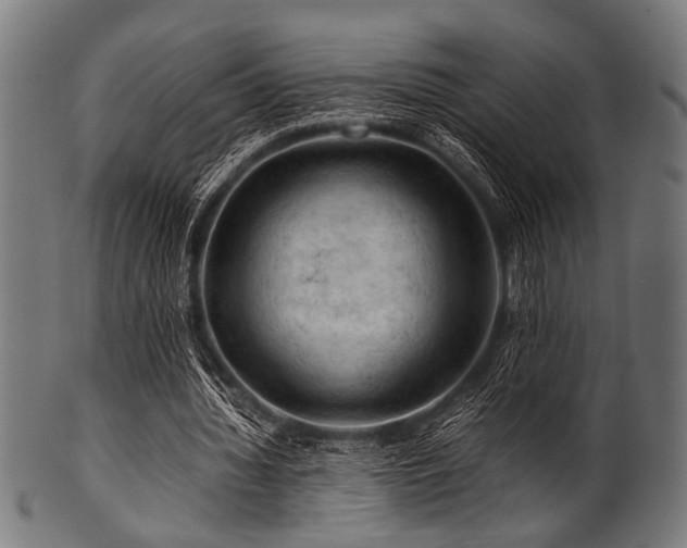 X0000100950436200806241507