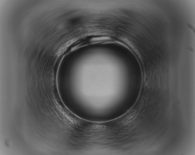 X0000100950437200806241507