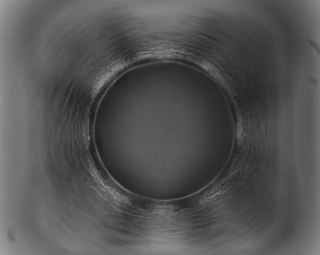 X0000100950438200806241507