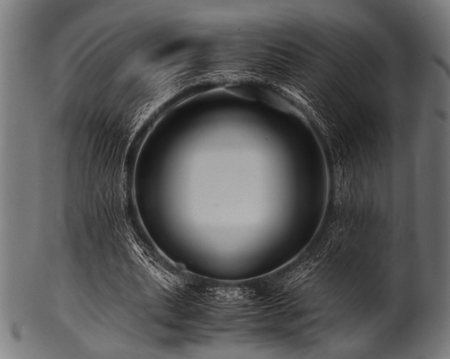 X0000100950439200806241507