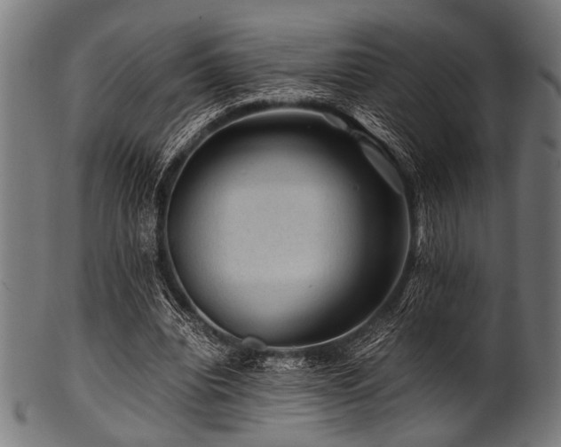 X0000100950440200806241507