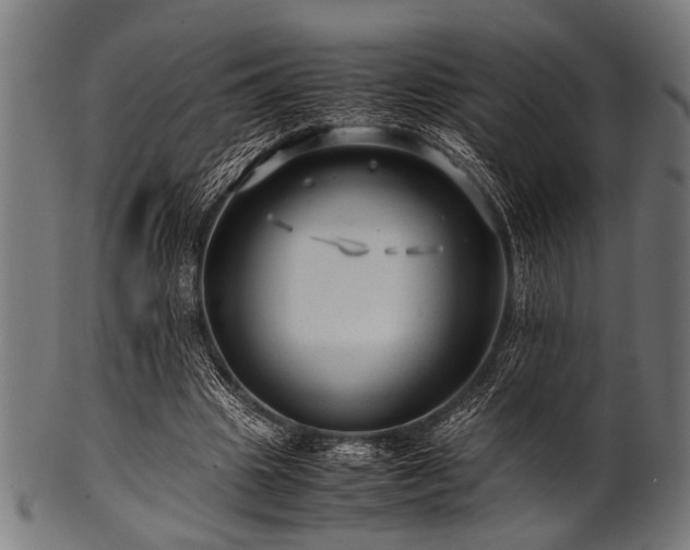 X0000100950441200806241507