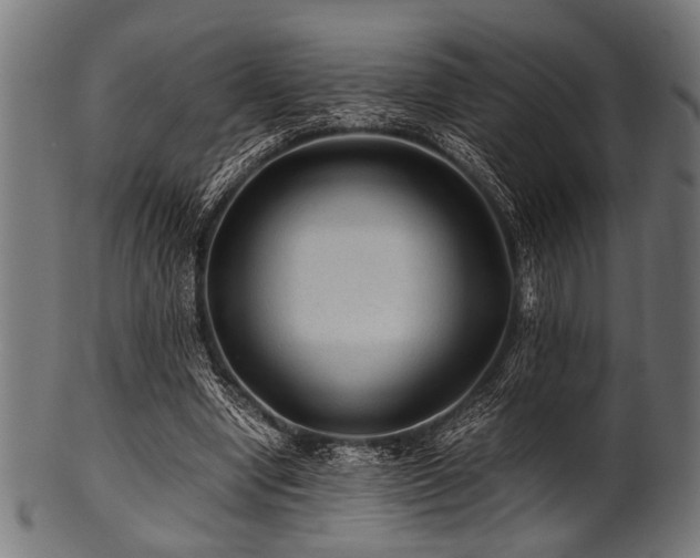 X0000100950442200806241507