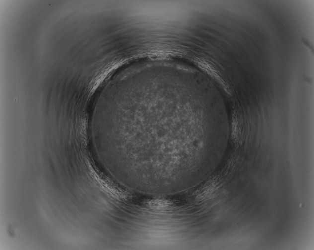 X0000100950444200806241507