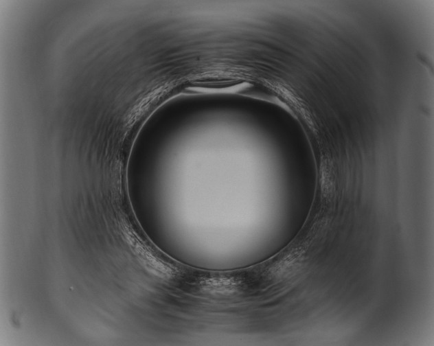X0000100950445200806241507