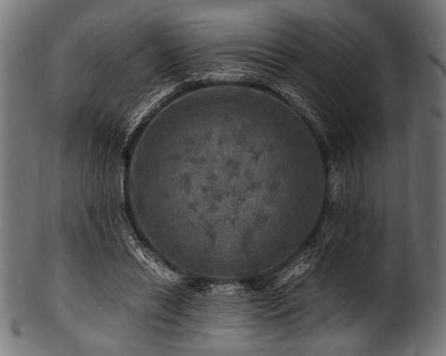 X0000100950446200806241507
