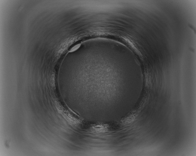 X0000100950447200806241507