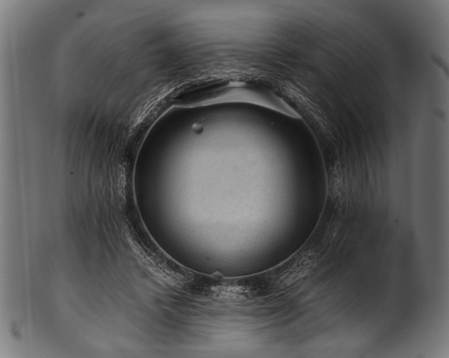 X0000100950448200806241507