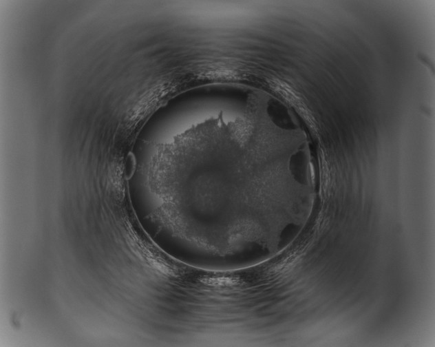 X0000100950449200806241507