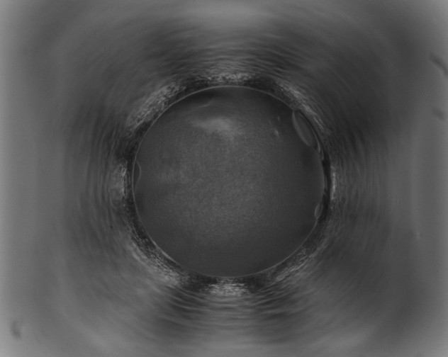 X0000100950451200806241507