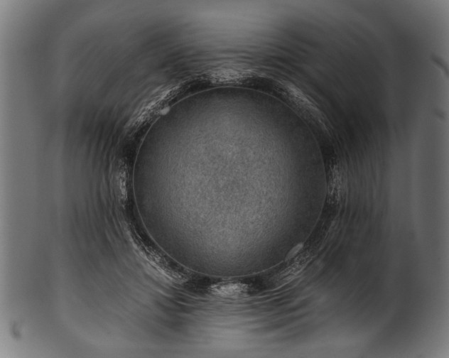 X0000100950452200806241507