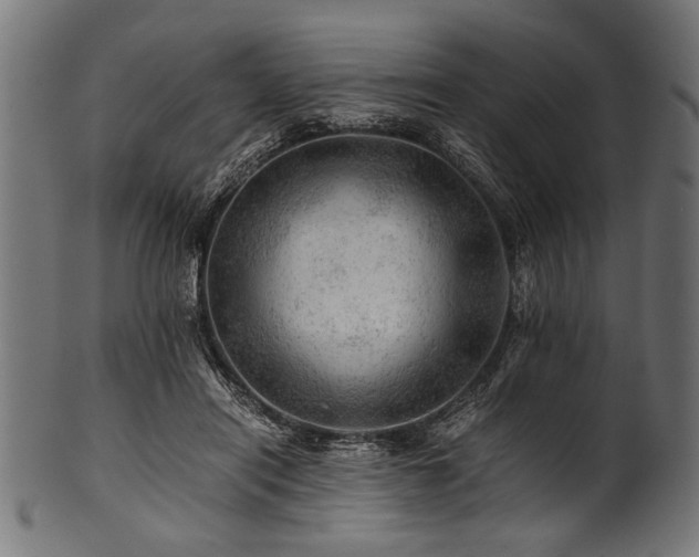 X0000100950454200806241507