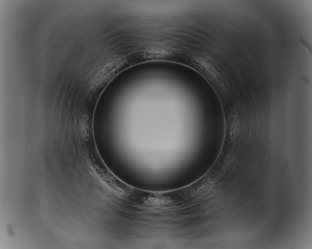 X0000100950455200806241507