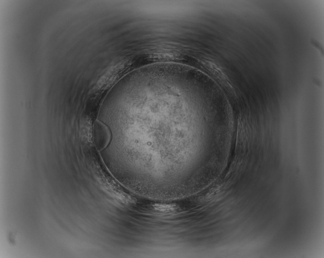 X0000100950457200806241507