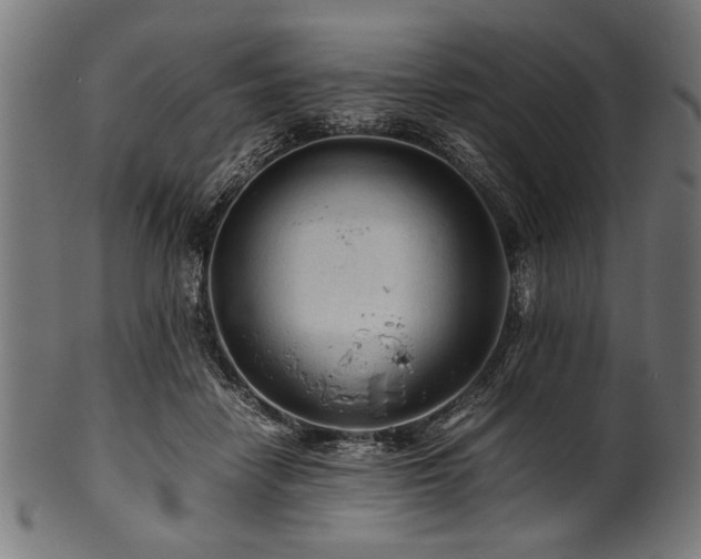 X0000100950458200806241507