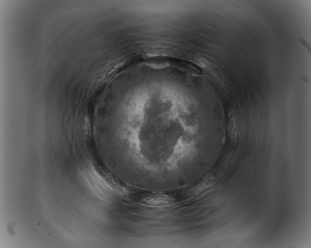 X0000100950459200806241508