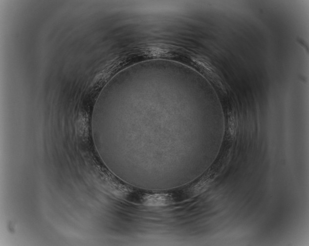 X0000100950461200806241508