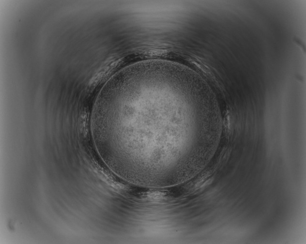 X0000100950462200806241508