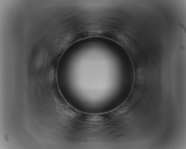 X0000100950463200806241508