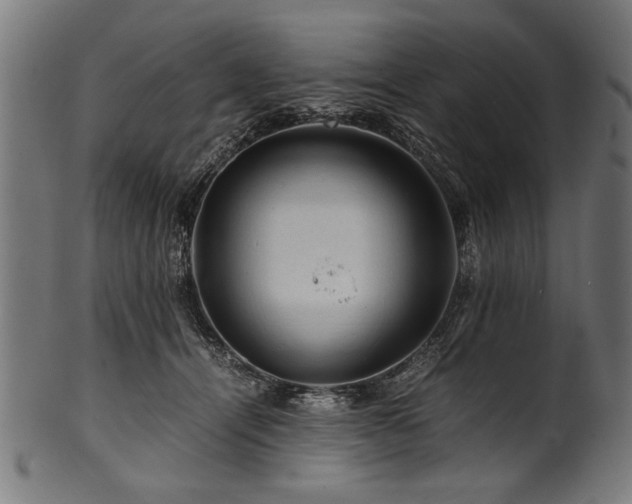 X0000100950464200806241508