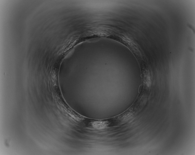X0000100950465200806241508