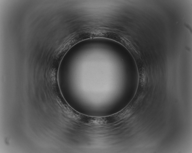 X0000100950466200806241508