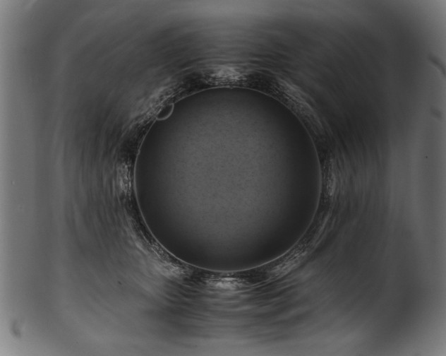 X0000100950467200806241508