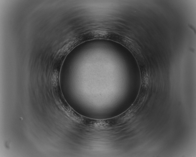 X0000100950468200806241508
