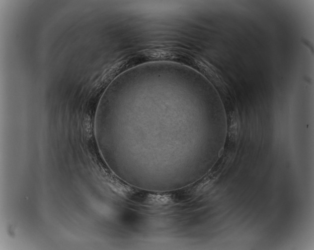 X0000100950469200806241508