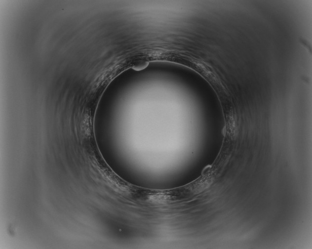 X0000100950470200806241508