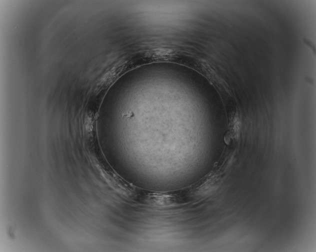 X0000100950472200806241508