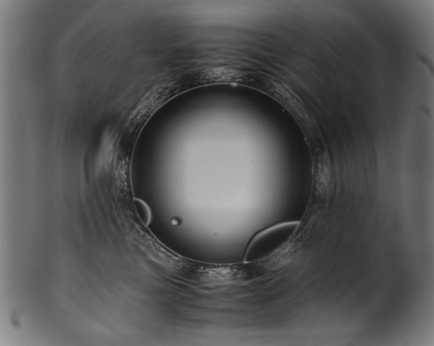 X0000100950473200806241508