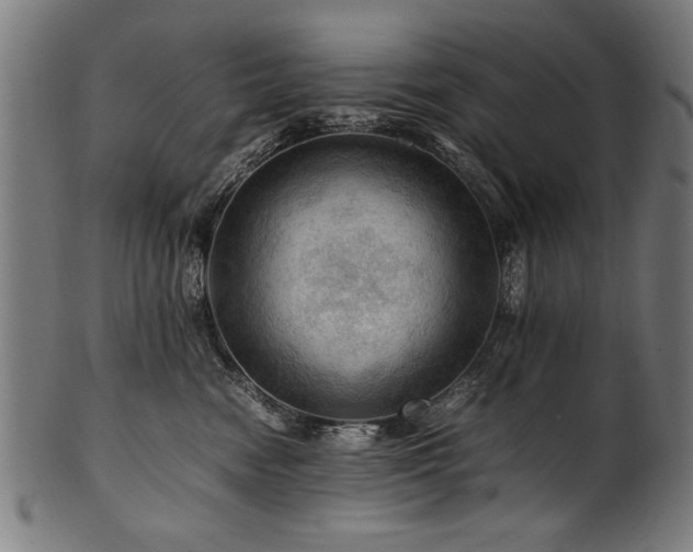 X0000100950474200806241508