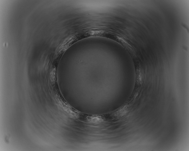 X0000100950475200806241508