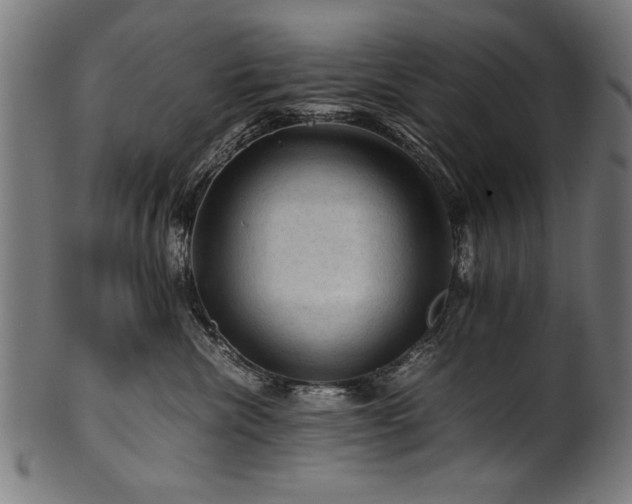 X0000100950476200806241508