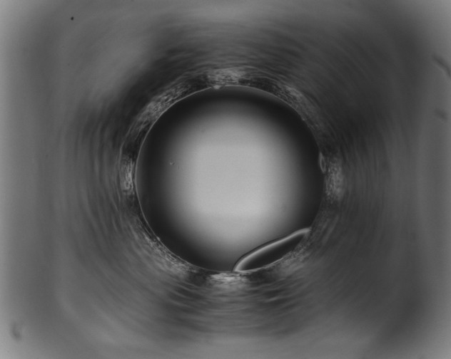 X0000100950477200806241508