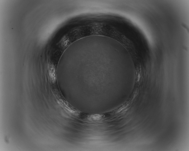 X0000100950479200806241508