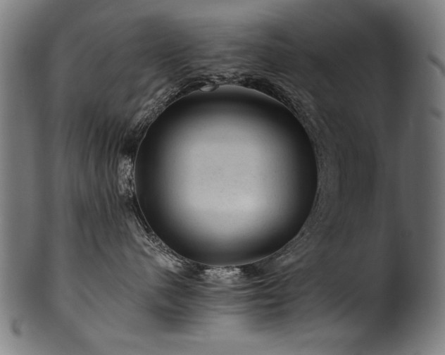 X0000100950480200806241508