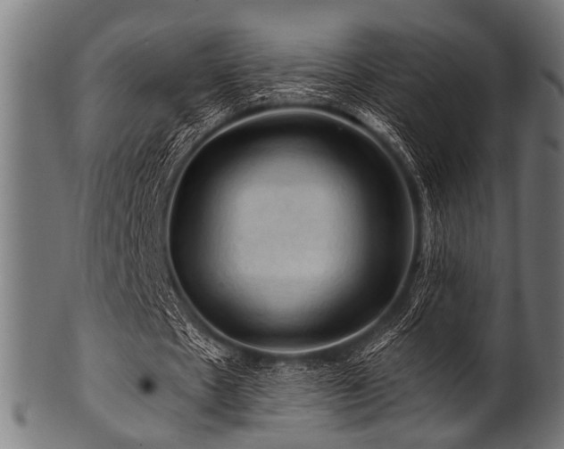 X0000100950481200806241507