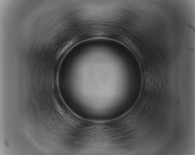 X0000100950482200806241507