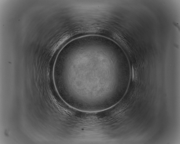 X0000100950483200806241507