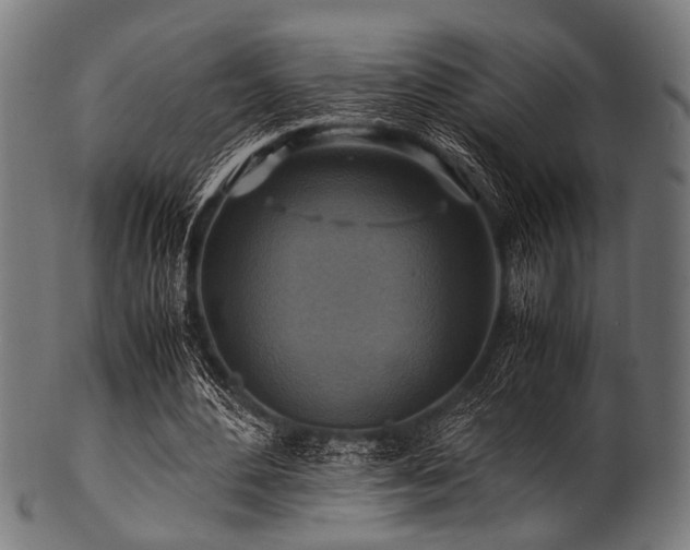X0000100950484200806241507