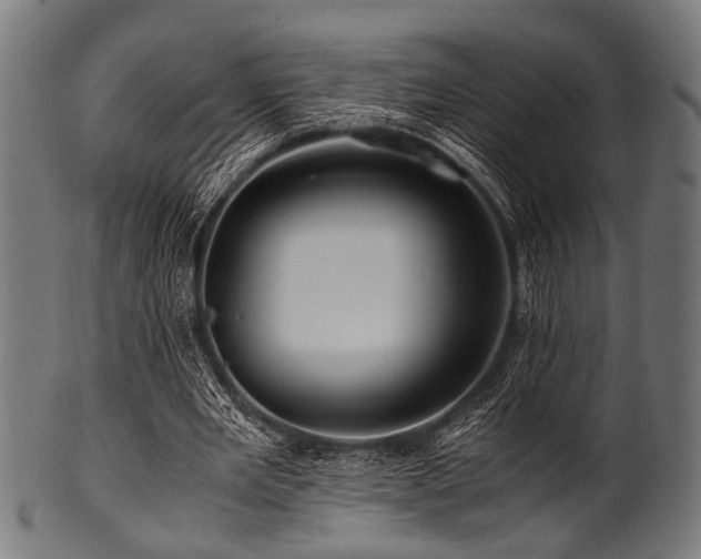 X0000100950485200806241507