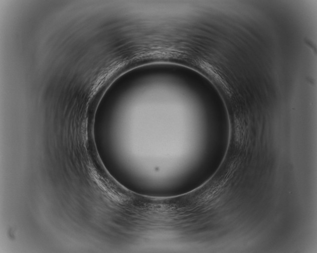 X0000100950486200806241507