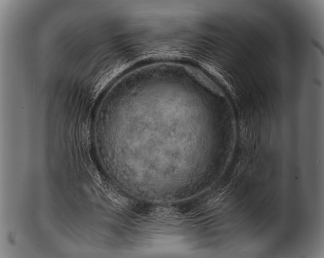 X0000100950487200806241507