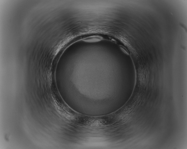 X0000100950488200806241507
