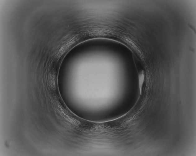 X0000100950489200806241507