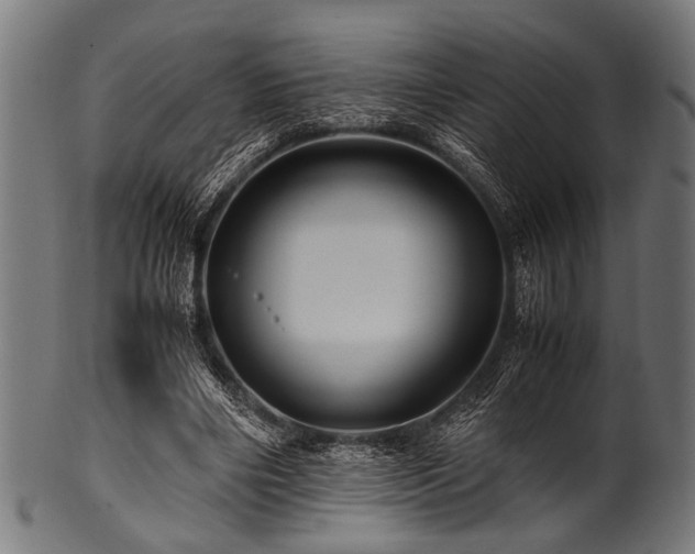 X0000100950490200806241507